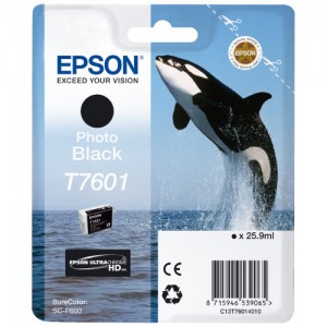 Genuine Epson 760 Photo Black Ink Cartridge -