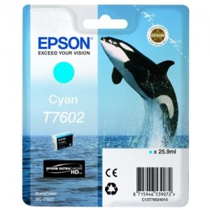 Genuine Epson 760 Cyan Ink Cartridge -