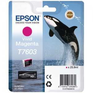 Genuine Epson 760 Vivid MagentaInk Cartridge -