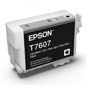 Genuine Epson 760 Light Black Ink Cartridge -